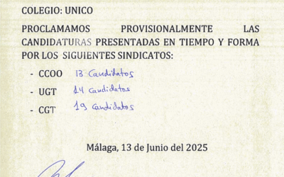 PROCLAMACION PROVISIONAL DE LAS CANDIDATURAS PRESENTADAS EN TIEMPO Y FORMA POR LOS SINDICATOS